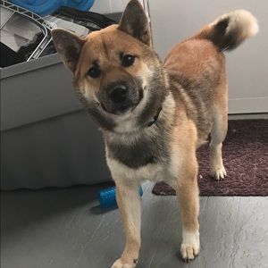 Meet your Posher, Julio